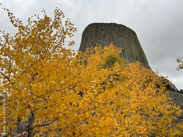 Obraz デビルズタワー