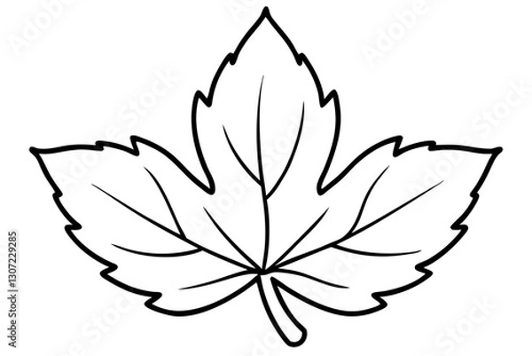 Obraz Autumn Leaves Line Art Illustration – Minimal Fall Foliage Design

