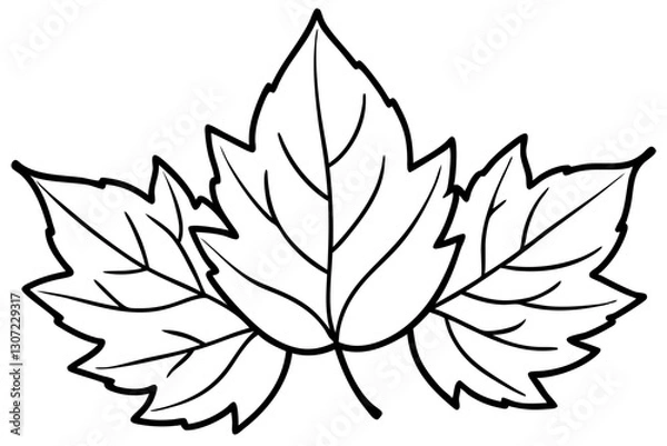 Obraz Autumn Leaves Line Art Illustration – Minimal Fall Foliage Design

