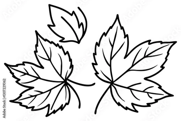 Obraz Autumn Leaves Line Art Illustration – Minimal Fall Foliage Design

