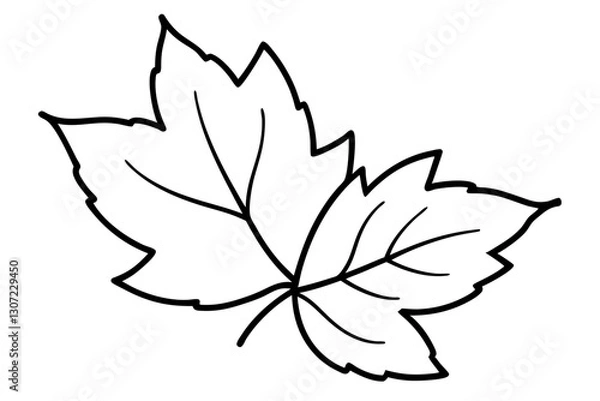 Obraz Autumn Leaves Line Art Illustration – Minimal Fall Foliage Design


