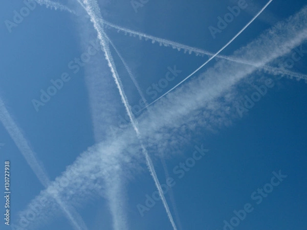 Obraz Bleu sky in a sunny day