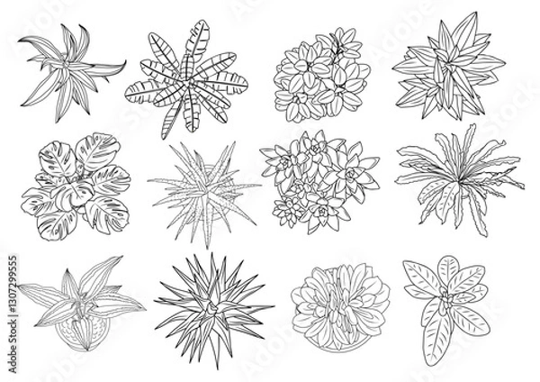 Fototapeta Set of different house plants top view. Cactus, aloe, monstera, palms black line art icons for landscape, architectural, interior design. Hand drawn Vector sketch isolated