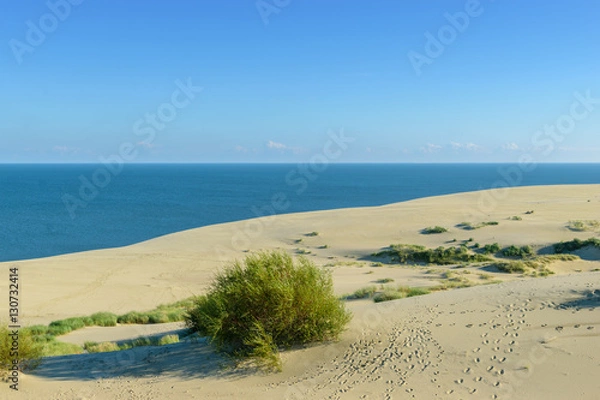 Obraz RUSSIA, VILLAGE of "MARINE"- August, 2016: the Curonian spit. Dune EFA