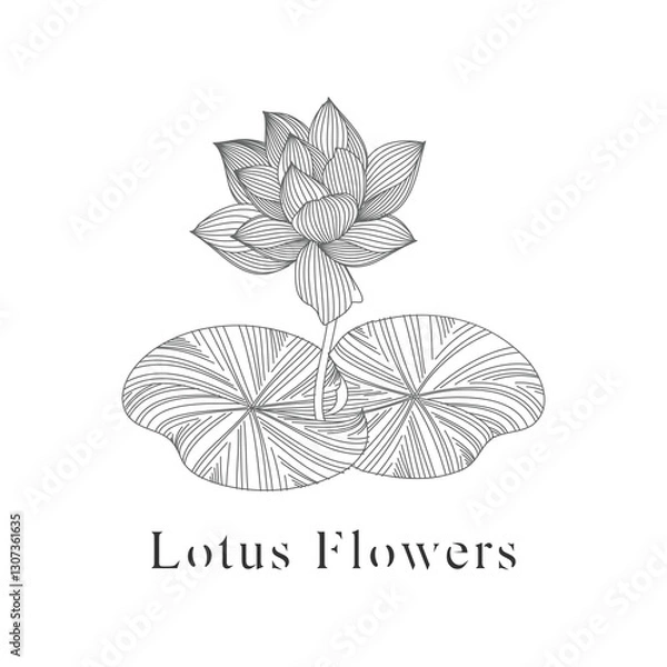 Fototapeta monoline vector illustration lotus flower sketch negative space.
