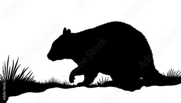 Fototapeta Silhouette of a chipmunk walking in a grassy field