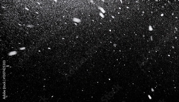 Obraz falling real snowflakes heavy snow shot on a black background frosted wide angle insulated ideal for digital composition post production