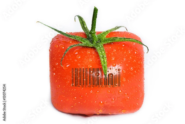 Obraz Square tomato with water drops.