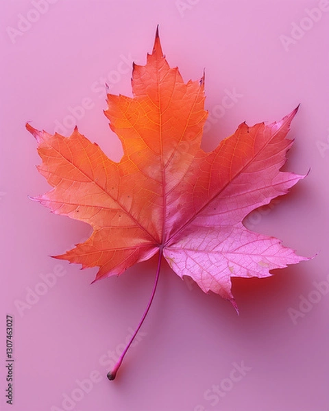 Fototapeta Colorful Various Leaves on a Pastel Background, Nature and Botanical Concept  
