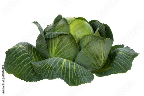 Fototapeta Cabbage isolated on white