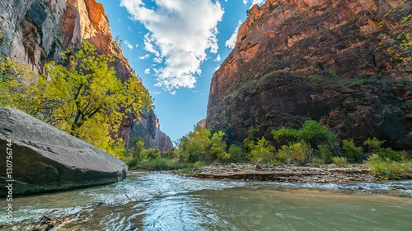Obraz Spacer nad rzeką, piękna wędrówka wzdłuż rzeki Virgin. Park Narodowy Zion, Utah, USA