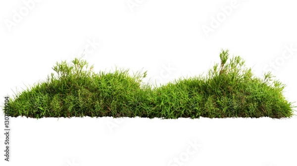 Obraz Nature's lush greenery vibrant grass clumps in a tranquil setting close-up photography serene environment natural beauty