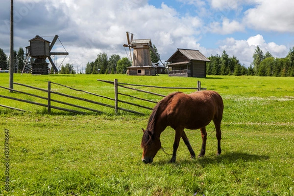 Fototapeta A horse grazes on a green meadow, with windmills in the background