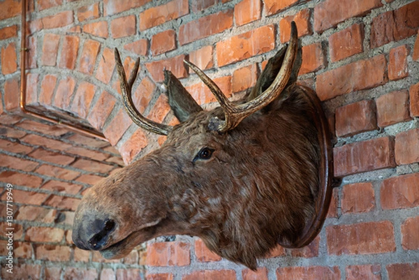 Fototapeta A taxidermy moose head with antlers mounted on a rustic red brick wall, creating a classic hunting lodge atmosphere.  