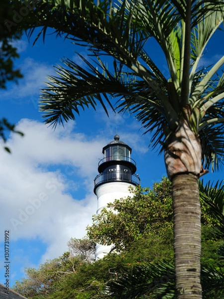 Fototapeta The historic Key West Lighthouse in the DFlorida Keys and the famous coconut Palm trees