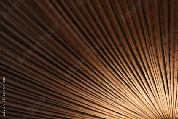 Fototapeta Visually striking close-up showcasing brown textured lines