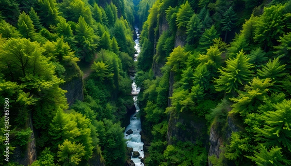 Obraz A breathtaking view of a ravine filled with vibrant green trees, showcasing the integration of advanced imaging technology in nature photography.
