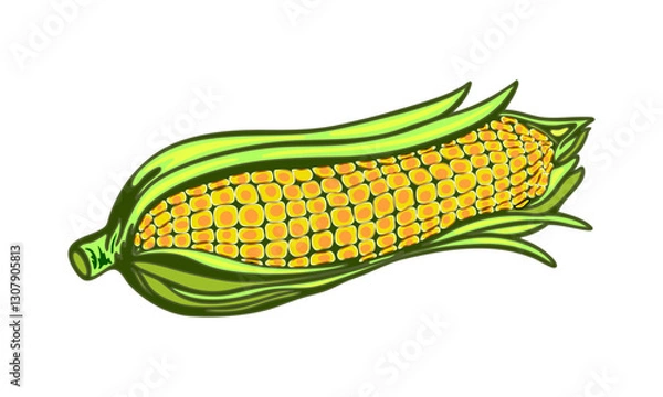 Fototapeta Colorful vector illustration of corn on the cob. Cartoon-style corn  digital artwork illustration with bright yellow kernels