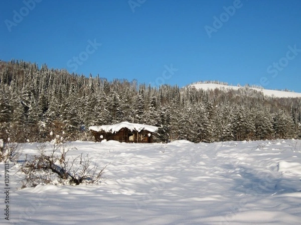 Fototapeta Заброшенный домик около леса.