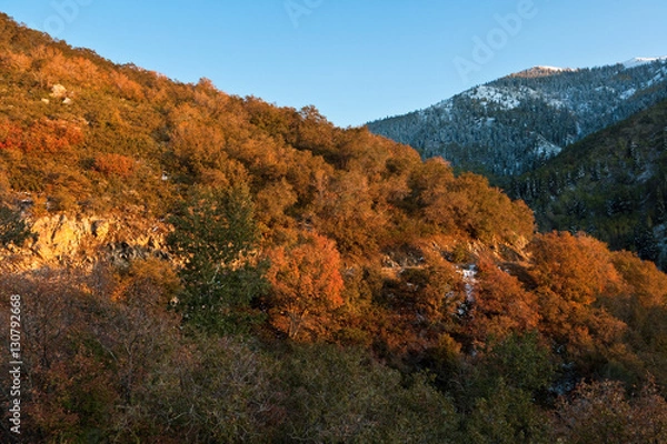 Obraz Fall at Wasatch National Forest, Wasatch Range