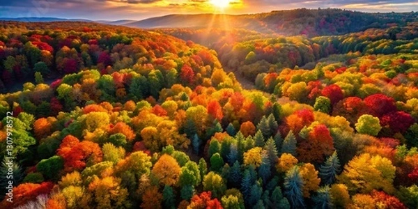 Fototapeta Aerial Drone Shot: Autumn Forest Nature Print, Vibrant Fall Colors