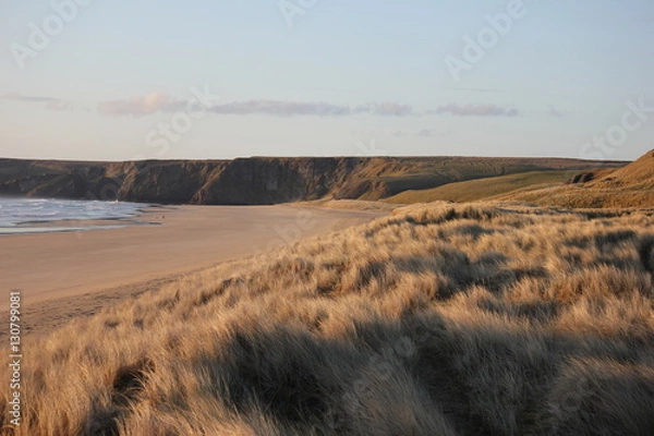 Obraz The Beach Grass