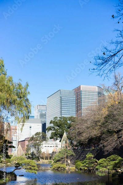 Fototapeta 日比谷公園から見える丸の内方面の都市風景