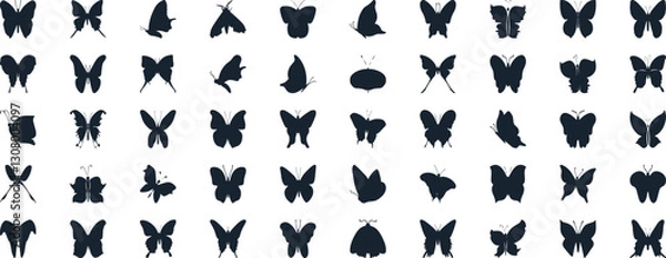 Fototapeta Butterfly vector illustration set, line art style, Butterflies in various poses. Perfect for spring, summer designs, invitations.