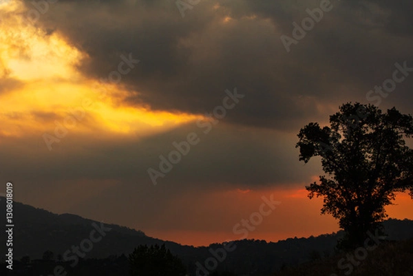 Obraz Silhouette of an Oak tree backlit by a amazing sunset in yellow, orange and gray storm clouds.