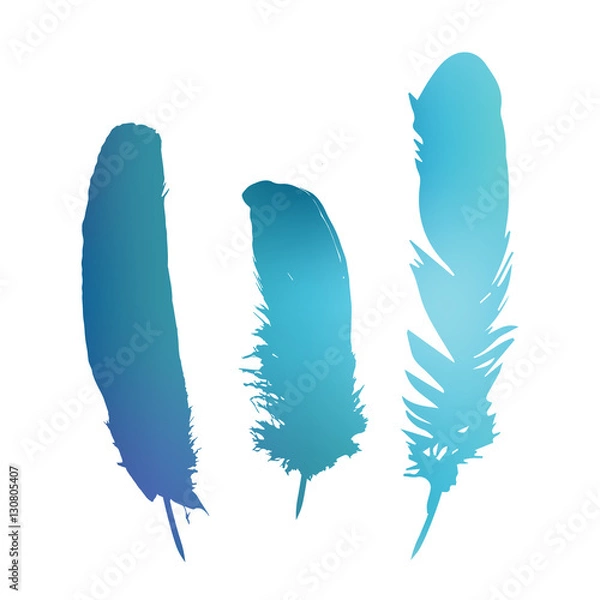 Obraz Colorful vector feathers in isolated white background