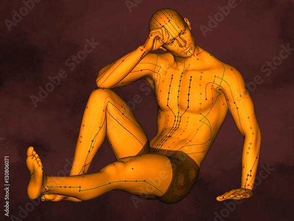 Obraz Acupuncture model M-POSE G-08-2, 3D Model