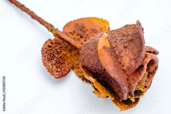 Fototapeta petrified rose, typical souvenir of the Karlovy Vary town in Cze