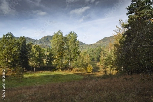 Fototapeta  autumn forest