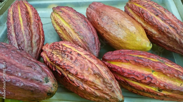 Obraz Cacaus's picture