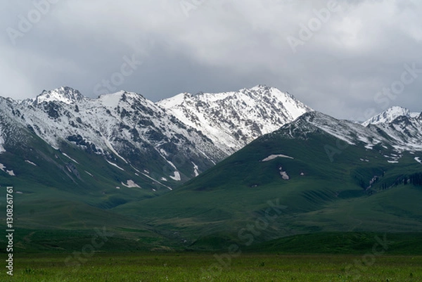 Obraz snow mountain landscape, gressland