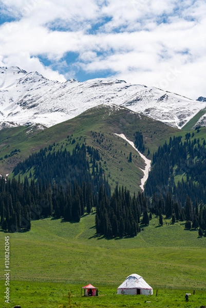 Obraz snow mountain landscape, gressland