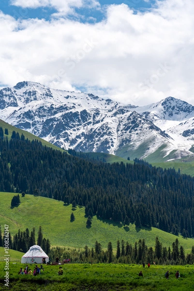 Obraz snow mountain landscape, gressland