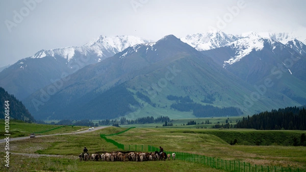 Obraz cows in the mountains