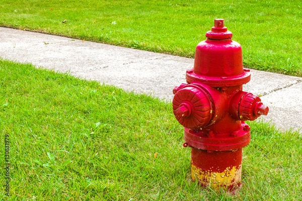Obraz red fire hydrant in grass