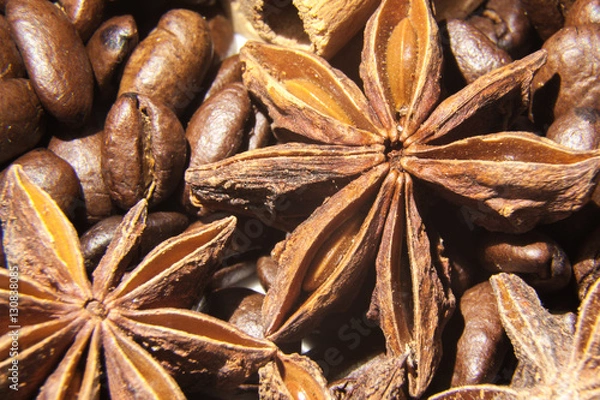 Obraz Anissterne mit Kaffeebohnen