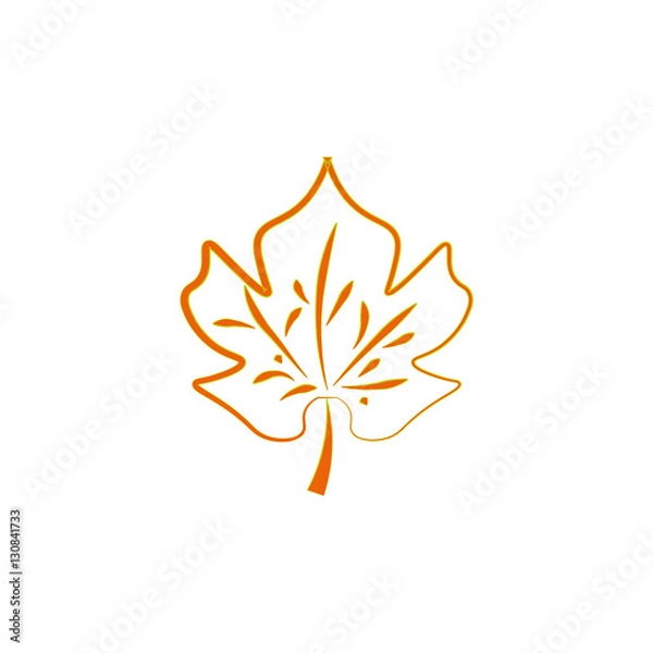 Obraz Contour leave of maple on white background