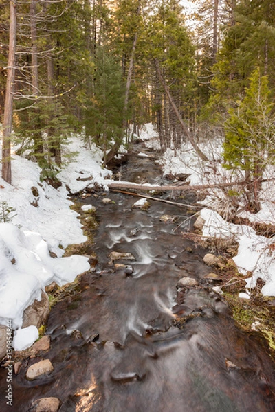 Obraz Snowy Stream in Winter 1