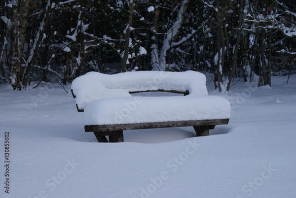 Obraz zugeschneite Bank