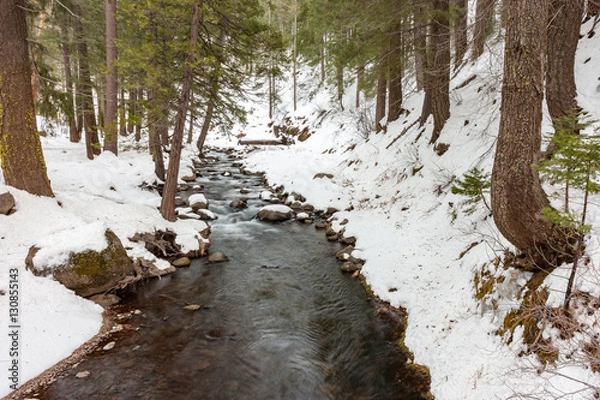 Obraz Snowy Stream in Winter 2