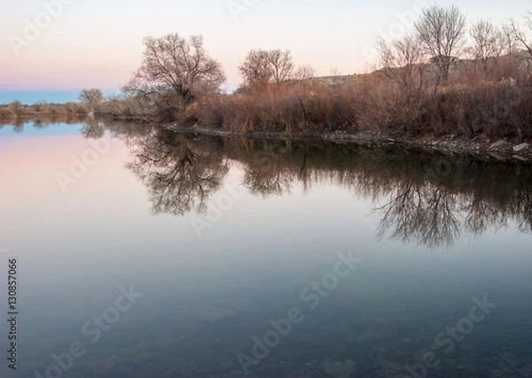 Obraz Bare Trees Reflected in a Lake