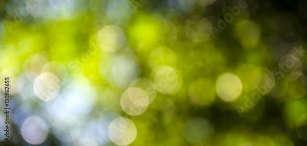 Obraz Beautiful green bokeh natural blur background
