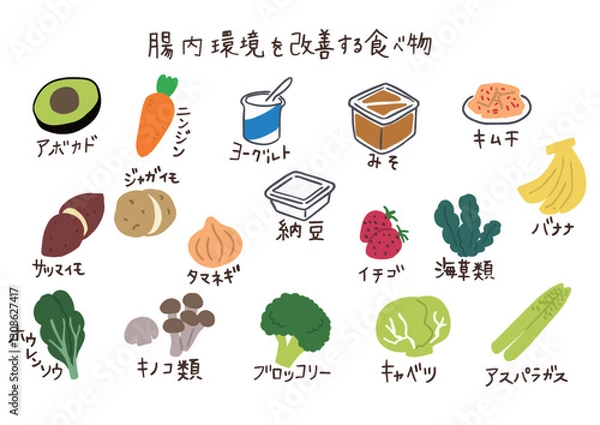 Obraz 腸内環境を改善する食べ物のイラストセット
