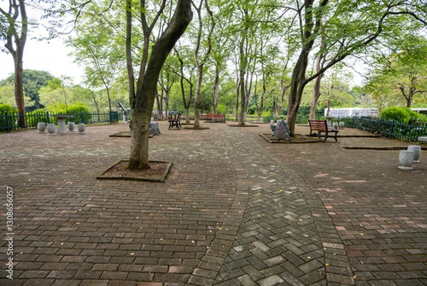 Fototapeta A Chinese urban park featuring a brick-paved plaza with seating benches, and mature trees placed in individual tree wells, creating a geometric and structured landscape and hardscaping design. 