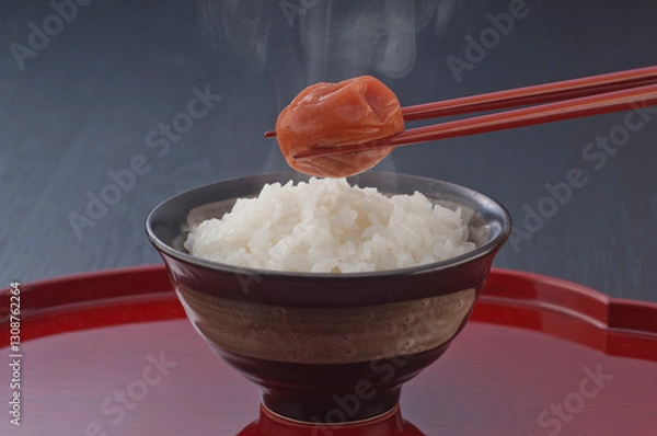 Obraz ご飯と梅干し−7