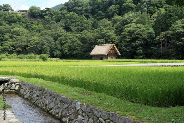 Fototapeta 白川郷 田園風景